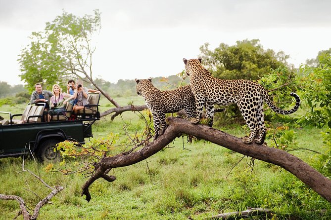 yala national park