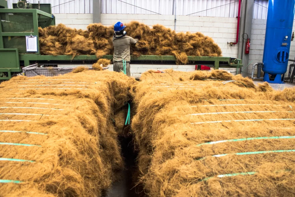 Production line coconut coir industry