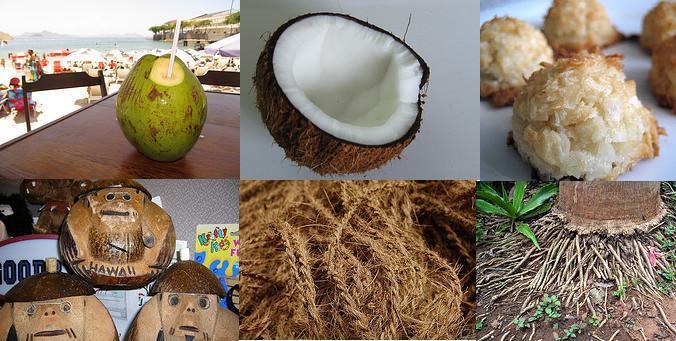 coconut uses